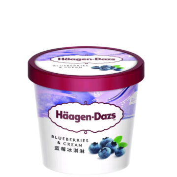 Haagen-Dazs Blueberry Ice Cream 100ml